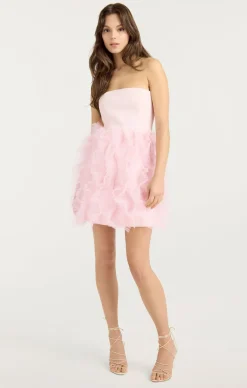 Ryan Dress